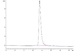 The purity of Cynomolgus DR6 is greater than 95 % as determined by SEC-HPLC. (TNFRSF21 Protein (AA 42-349) (His tag))