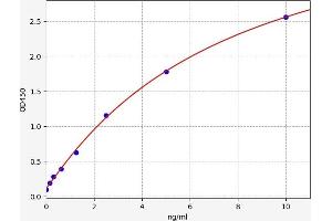 Typical standard curve (FECH ELISA Kit)