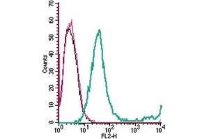 Cell surface detection of GPR65 in live intact mouse EL4 T-cell lymphoma cells: (black line) Cells. (GPR65 antibody  (1st Extracellular Loop) (PE))