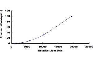 ELISA image for Insulin-Like Growth Factor 2 (IGF2) CLIA Kit (ABIN491764)
