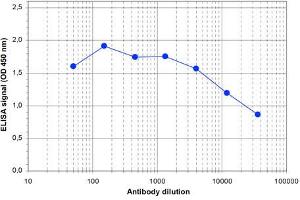 ELISA of anti-TASP1 antibody ELISA results of Rabbit anti-TASP1 antibody. (TASP1 antibody  (Internal Region, N-Term))