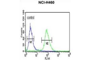 Flow Cytometry (FACS) image for anti-Isocitrate Dehydrogenase 3 (NAD+) gamma (IDH3G) antibody (ABIN3004326)