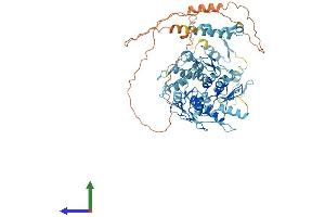 AlphaFold protein structure predicition of Human Recombinant ZNF28 Protein, UniprotID P17035