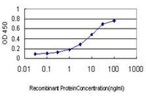 Detection limit for recombinant GST tagged SFTPD is approximately 0. (SFTPD antibody  (AA 21-375))