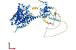 AlphaFold protein structure predicition of Mouse Recombinant Slc26a9 Protein, UniprotID Q8BU91 (Slc26a9 Protein (AA 1-790) (His tag))