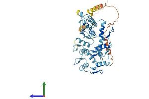 AlphaFold protein structure predicition of Human Recombinant ZNF557 Protein, UniprotID Q8N988