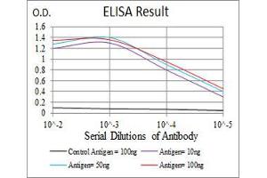 Black line: Control Antigen (100 ng), Purple line: Antigen(10 ng), Blue line: Antigen (50 ng), Red line: Antigen (100 ng), (KCND2 antibody  (AA 27-184))