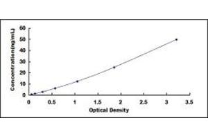 Typical standard curve (MSTN ELISA Kit)