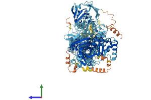 AlphaFold protein structure predicition of Human Recombinant ATP8A1 Protein, UniprotID Q9Y2Q0