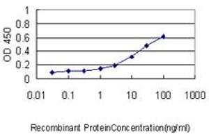 Detection limit for recombinant GST tagged TTK is approximately 0. (Mps1 antibody  (AA 1-176))