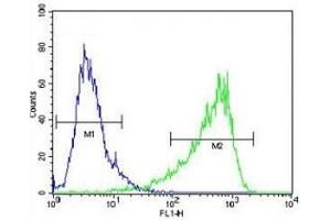 Flow Cytometry (FACS) image for anti-Hypoxia Inducible Factor 1, alpha Subunit (Basic Helix-Loop-Helix Transcription Factor) (HIF1A) (AA 519-547) antibody (ABIN3031284)