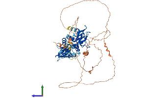 AlphaFold protein structure predicition of Human Recombinant PRKAG2 Protein, UniprotID Q9UGJ0