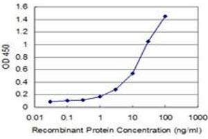 Detection limit for recombinant GST tagged ID1 is approximately 1ng/ml as a capture antibody. (ID1 antibody  (AA 47-155))