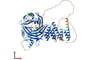 AlphaFold protein structure predicition of Mouse Recombinant Wdpcp Protein, UniprotID Q8C456 (WDPCP Protein (AA 1-722) (His tag))