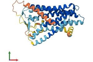 AlphaFold protein structure predicition of Human Recombinant OR13C3 Protein, UniprotID Q8NGS6 (OR13C3 Protein (AA 1-347) (His tag))