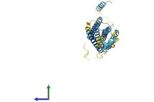 Protein Structure (PS) image for Syntaxin 19 (STX19) (AA 1-294) protein (His tag) (ABIN7544026)