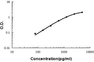 Sandwich ELISA - Recombinant mouse IL23 Receptor/Il23r protein standard curve. (IL23R antibody  (AA 25-233))