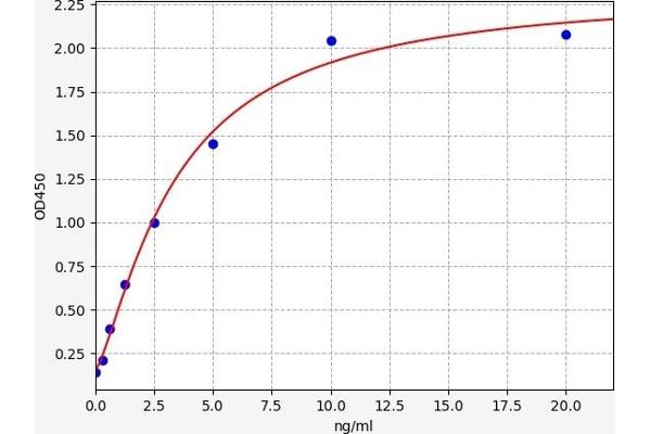 CDK2 ELISA Kit