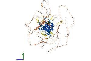 AlphaFold protein structure predicition of Mouse Recombinant Epas1 Protein, UniprotID P97481