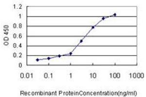 Detection limit for recombinant GST tagged FKBP5 is approximately 0. (FKBP5 antibody  (AA 1-457))