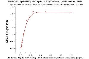 Immobilized Anti-SARS-CoV-2 Spike NTD Antibody, Chimeric mAb at 1 μg/mL (100 μL/well) can bind SARS-CoV-2 Spike NTD, His Tag (B. (SARS-CoV-2 Spike Protein (B.1.1.529 - Omicron, NTD) (His tag))