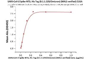 Immobilized Anti-SARS-CoV-2 Spike NTD Antibody, Chimeric mAb at 1 μg/mL (100 μL/well) can bind SARS-CoV-2 Spike NTD, His Tag (B. (SARS-CoV-2 Spike Protein (B.1.1.529 - Omicron, NTD) (His tag))