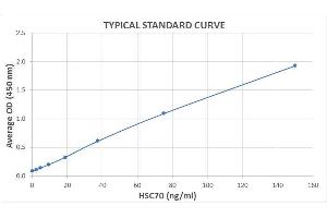 Typical Standard Curve for the HSC70 ELISA kit (Enzyme-Linked Immunosorbent Assay). (Hsc70 ELISA Kit)
