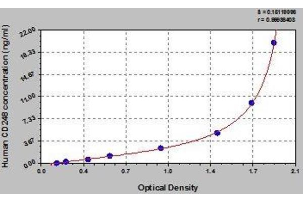 CD248 ELISA Kit