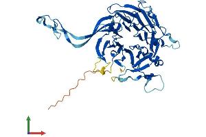 Protein Structure (PS) image for Protein Phosphatase 2, Regulatory Subunit B, beta (PPP2R2B) (AA 1-443) protein (His tag) (ABIN7551731)