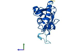 Protein Structure (PS) image for Ubiquitin-Conjugating Enzyme E2G 1 (Ube2g1) (AA 1-170) protein (His tag) (ABIN7544946)