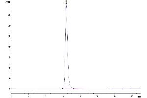The purity of Human CD40 is greater than 95 % as determined by SEC-HPLC.