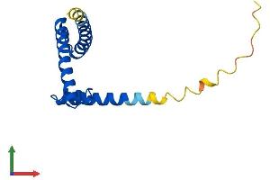 AlphaFold protein structure predicition of Mouse Recombinant Cenps Protein, UniprotID Q9D084