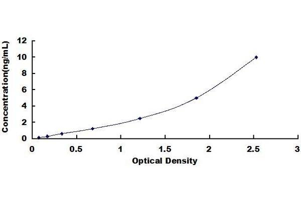 SLC1A2 ELISA Kit