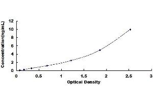 Typical standard curve (SLC1A2 ELISA Kit)