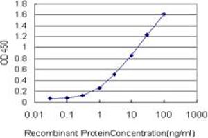 Detection limit for recombinant GST tagged PCMT1 is approximately 0. (PCMT1 antibody  (AA 117-225))