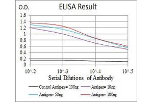 Black line: Control Antigen (100 ng), Purple line: Antigen(10 ng), Blue line: Antigen (50 ng), Red line: Antigen (100 ng), (HSPB2 antibody  (AA 1-182))