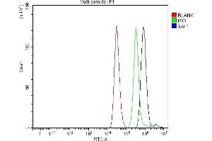 Flow Cytometry analysis of THP-1 cells using anti-TAF1 antibody (ABIN7599995).