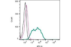 Cell surface detection of NMDAR1 by indirect flow cytometry in live intact human  megakaryoblastic leukemia cells: + goat-anti-rabbit-APC. (GRIN1/NMDAR1 antibody  (Extracellular))