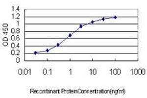 ELISA image for anti-Ring Finger Protein, LIM Domain Interacting (RLIM) (AA 1-83) antibody (ABIN565536)