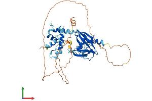 Protein Structure (PS) image for DCP2 Decapping Enzyme Homolog (DCP2) (AA 1-420) protein (His tag) (ABIN7553624)