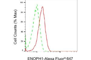 Flow cytometric analysis of ENOPH1 expression in HAP-1 cells using ENOPH1 antibody (ABIN7798452), 1:1,000).