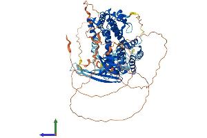 Protein Structure (PS) image for Ral Guanine Nucleotide Dissociation Stimulator-Like 2 (RGL2) (AA 1-778) protein (His tag) (ABIN7557679)
