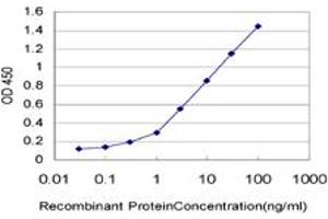 Detection limit for recombinant GST tagged SNAPC5 is approximately 0. (SNAPC5 antibody  (AA 1-68))