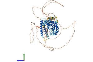 AlphaFold protein structure predicition of Mouse Recombinant Psd2 Protein, UniprotID Q6P1I6 (PSD2 Protein (AA 1-770) (His tag))