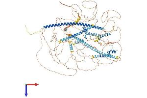 Gse1 coiled-coil protein (GSE1) (AA 1-1213) protein (His tag)
