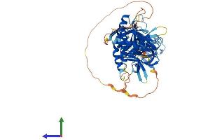 Protein Structure (PS) image for Syntrophin, beta 2 (Dystrophin-Associated Protein A1, 59kDa, Basic Component 2) (SNTB2) (AA 1-540) protein (His tag) (ABIN7546187)