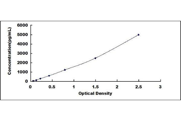 Bcl-2 ELISA Kit