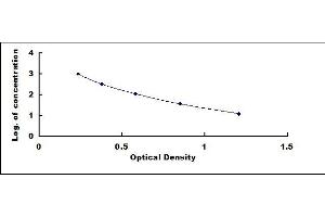 Typical standard curve (KISS1 ELISA Kit)