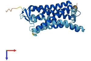 AlphaFold protein structure predicition of Human Recombinant OR10A4 Protein, UniprotID Q9H209 (OR10A4 Protein (AA 1-315) (His tag))