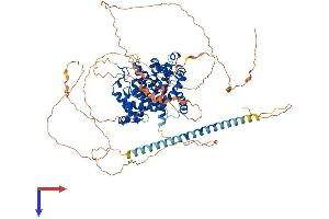 AlphaFold protein structure predicition of Human Recombinant TBC1D10B Protein, UniprotID Q4KMP7 (TBC1D10B Protein (AA 1-808) (His tag))